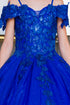Girls Bliss Sweetheart Sequin Glitter Lace Train Ball Gown 2-16
